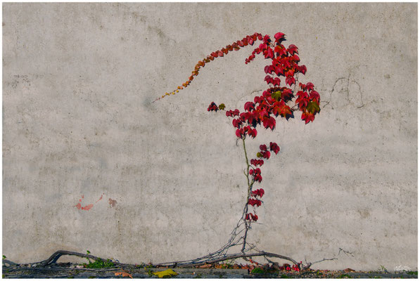 Herbstfarben