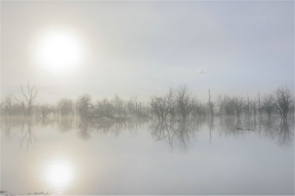 am Galenbecker See
