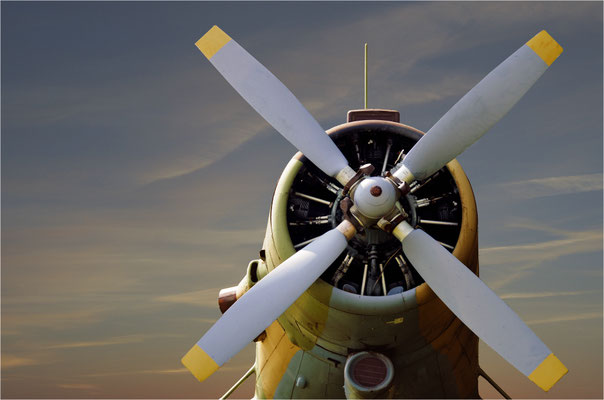 Kraftprotz   (An-2 Motor)