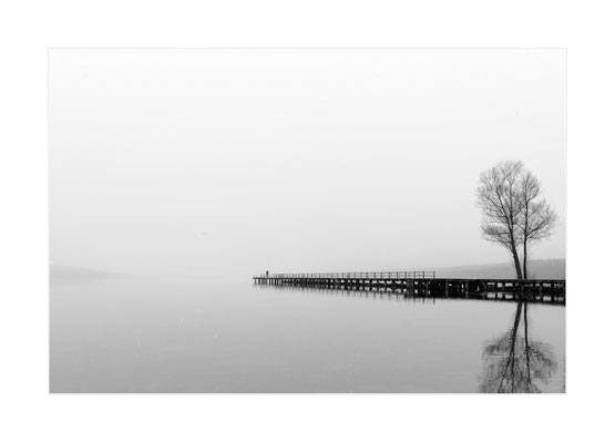 Winterland - 09