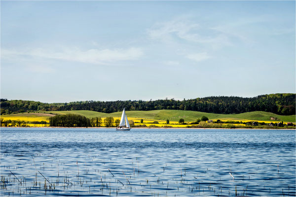 am Kummerower See