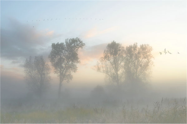 Frühnebel am Galenbecker See