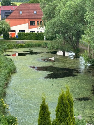 Vorher