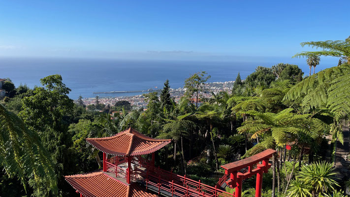 Tolle Aussicht auf Funchal