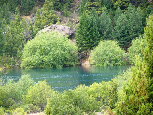 Rio Limay - Limay River