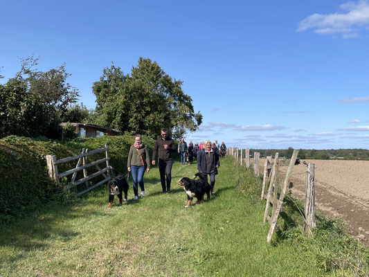 Gemeinsamer Spaziergang