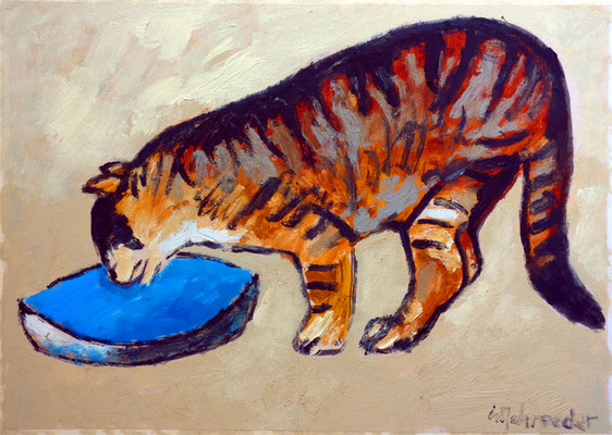 Katze an der Schale