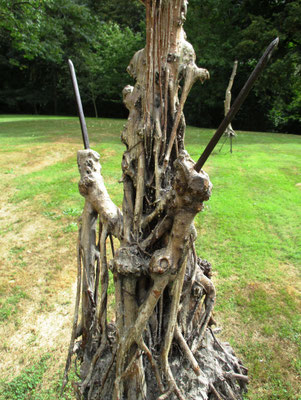 Trois arbres de ma planète - Roman Gorski