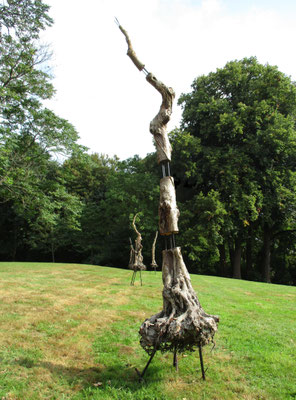 Trois arbres de ma planète - Roman Gorski