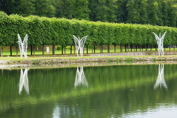 Installation Pré-papillons, Villarceaux - Roman GORSKI