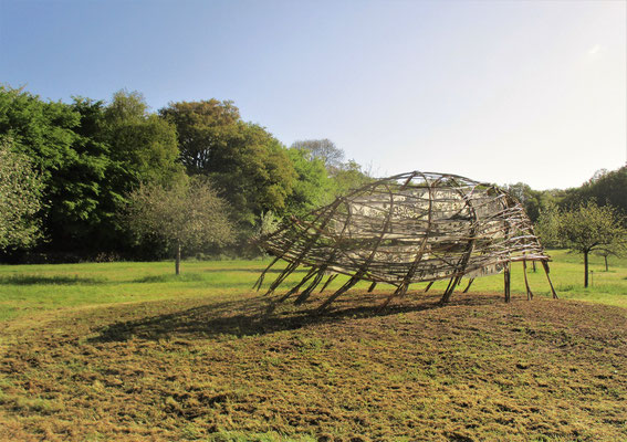  2018 - "Eloge des insectes"  Miermaigne, Parc Naturel Régional du Perche - Roman GORSKI