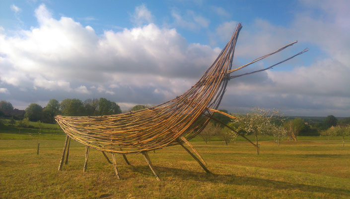 Eloge des insectes - Roman GORSKI