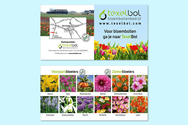 Texelbol flyer