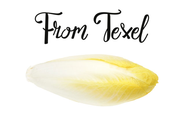 From Texel witlof (lees; with love)