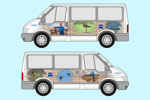 Calidris bus