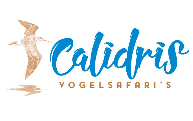 Calidris logo