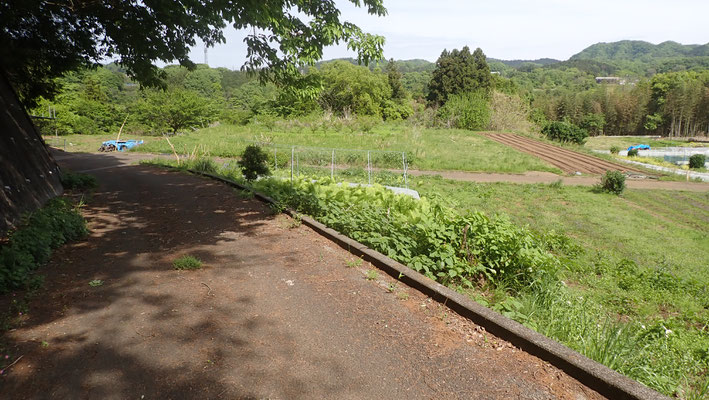 数百mの下りきった正面が駐車場（農地）です。