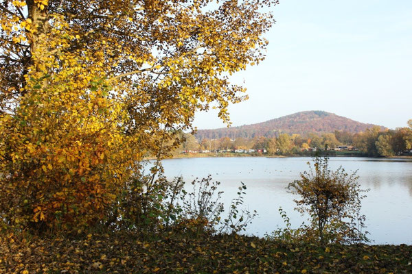 Der goldene Herbst am Wißmarer See