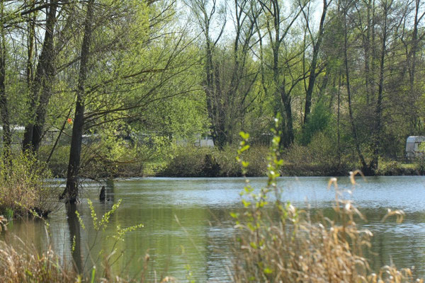 Schöne Einblicke am Wißmarer See