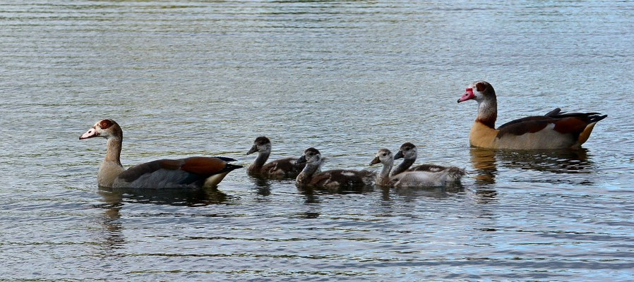 Eine ruhige Runde drehen am Wißmarer See