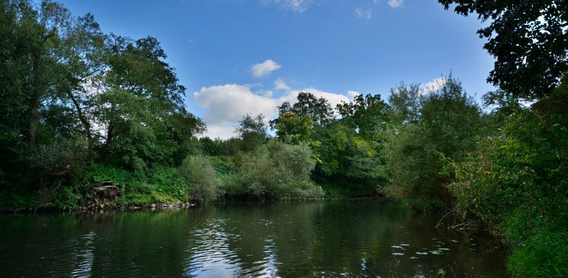 Herbststimmung am Wißmarer See