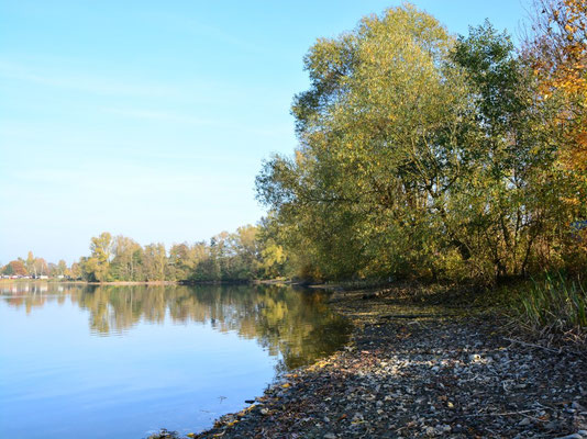 Der goldene Herbst am Wißmarer See