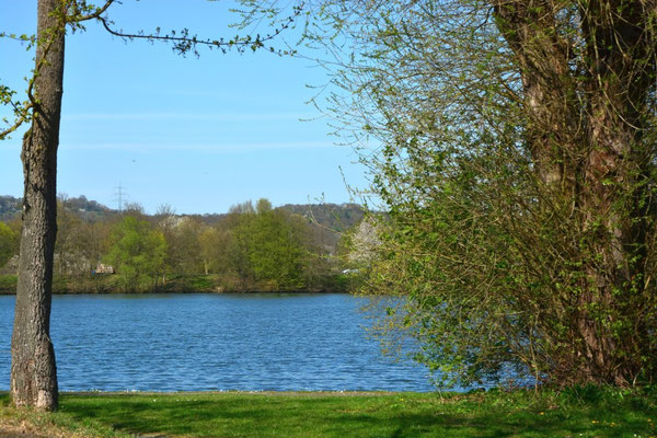 Schöne Einblicke am Wißmarer See