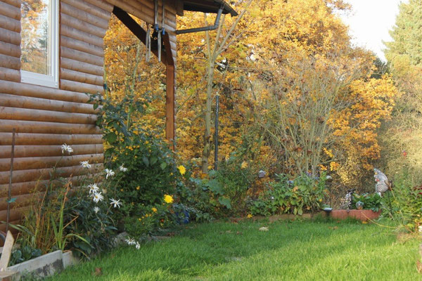 Der goldene Herbst am Wißmarer See