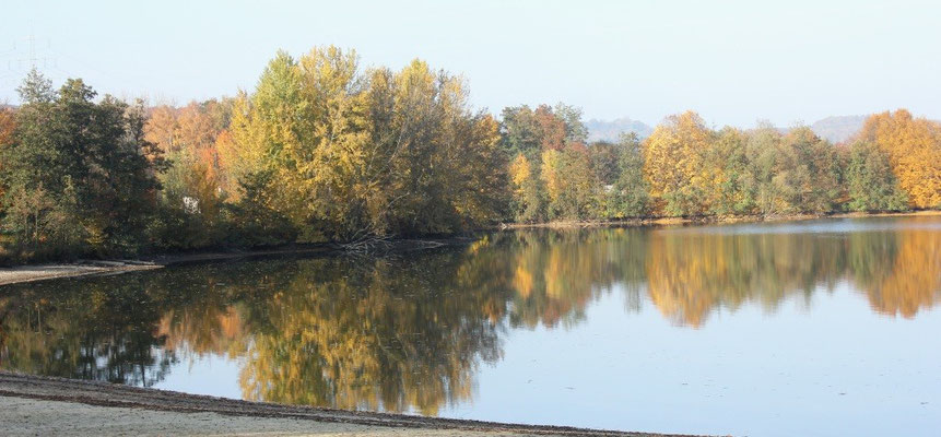 Der goldene Herbst am Wißmarer See