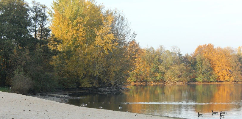 Der goldene Herbst am Wißmarer See