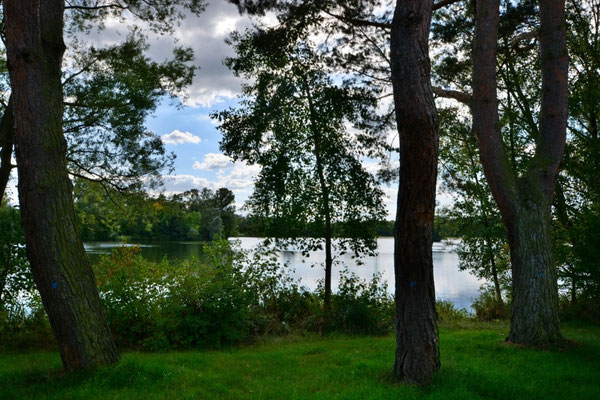 Herbststimmung am Wißmarer See