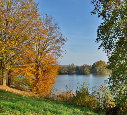 Der goldene Herbst am Wißmarer See