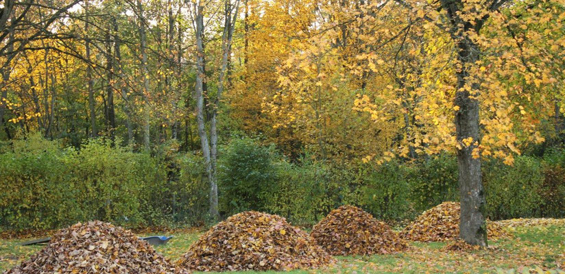 Der goldene Herbst am Wißmarer See