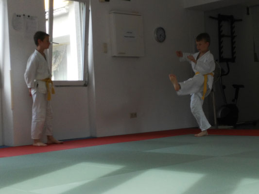 Jiu Jitsu - Selbstverteidigung - Kampfsport - Kampfkunst - Zen-Ki-Budo - Herne - Bochum - Gelsenkirchen