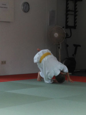 Jiu Jitsu - Selbstverteidigung - Kampfsport - Kampfkunst - Zen-Ki-Budo - Herne - Bochum - Gelsenkirchen