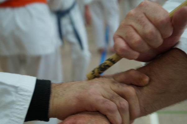 Zen-Ki-Budo - Jiu Jitsu - Kubotan - Kampfsport - Kampfkunst - Wanne-Eickel - Herne - Bochum - Gelsenkirchen