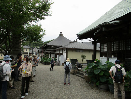 成就院  　平安時代に日奉氏が居館の鬼門除けに建立した東光寺（永禄年間1558-1570に廃絶）の子院であったともいわれ、僧永海が慶長16年（1611）に中興開山しました。  　薬師堂及び薬師如来像（東光寺薬師）は市有形文化財。