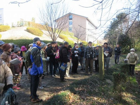 ●影取り池伝説の標柱  「影取池」は、今の大妻女子大の構内あたりにあったようですが、はるか昔に枯れて干上がってしまいました。  《この北側に、その昔深い森と影取池があり、旅人が水面に影を映すと姿を消してしまうので大蛇のしわざではないかと、また南北朝時代に落城した小山田城を抜けだした奥方の浄瑠璃姫が13人の侍女とともにここへ来て昔話に花を咲かせたあと入水したことの祟りではないかと噂された。  江戸時代にお坊さんが供養すると水面に霧が立ち笑みをたたえた姫と侍女たちは昇天し、村には平安が戻った。》 と伝えられて