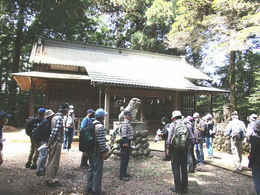 菅谷神社  　源平合戦で活躍した畠山重忠が、恩賞として領有した地に居館を建立（菅谷館跡）。  　居館の守護神として日吉大社を勧請し、山王社と称して建久元年（1190）に創建。