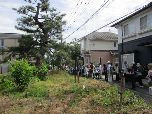 一本松古墳：墳丘のほとんどは道路により削平されてしまっています。 墳丘東側が残存しており高さは1.0〜1.3m。直径は10m前後。主体部は内容不明。 江戸時代には塚の上に雌雄2本の老松が生えていたと。  少し歩いて「一本松バス停」で解散しました。 ご参加の皆様、お疲れ様でした。