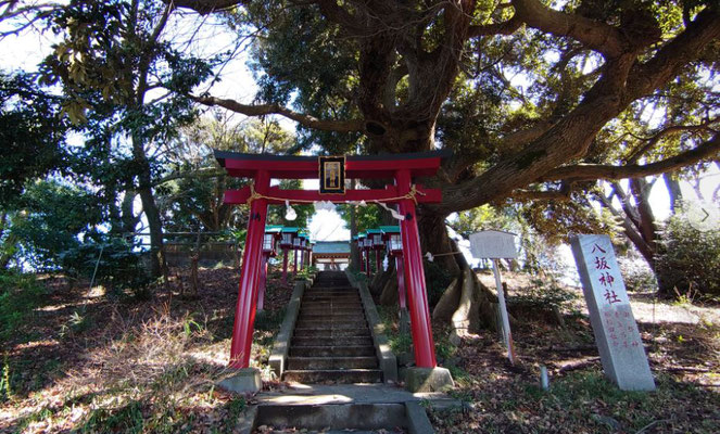 多摩市で一番標高の高い地点にある八坂神社。