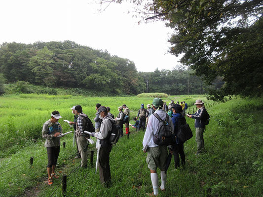 上の原広場の硬化層を見てから、反対側の野津田三山を眺めました。