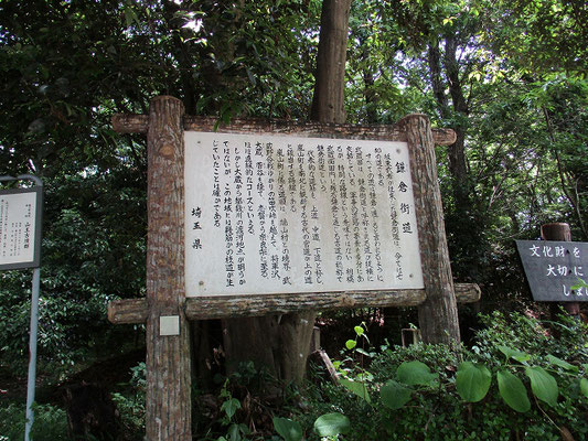 鎌倉街道  　嵐山町を南北に縦断する古代の官道が、上の道に該当します。 　少し草が生えていたので、分かり難かったです。