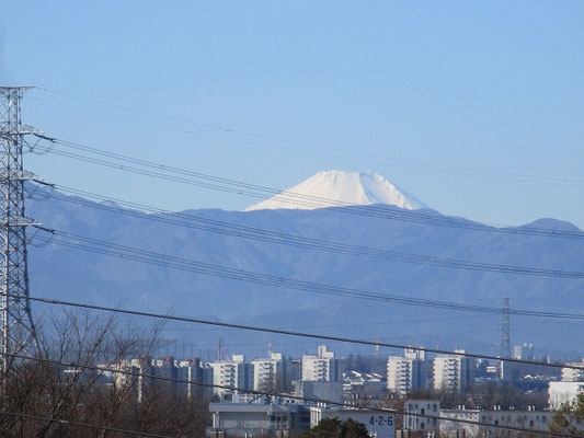 丘の上広場付近からの富士山