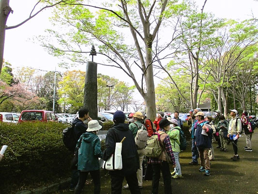 一本杉の彫刻の前、 小野郷と鎌倉を繋ぐ鎌倉古道沿いに大きな一本杉があったみたいです。 さまざまな言い伝えや物語もあるみたいです。