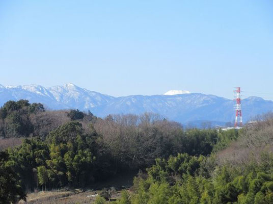 正山寺の裏山から見た「蛭が岳」と「富士山」  左の「蛭が岳」も、うっすらと雪をかぶっています。