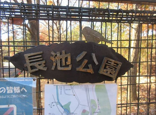 長池公園  八王子 市の東部(由木地域)、別所地区に位置する自然保全型公園です。  浄瑠璃姫が薬師如来像を背負って長池に身を投げたという、「長池伝説」が残っている。  長池は見事な足跡型をした池で、ダイダラボッチ足跡伝説地にもなっている。