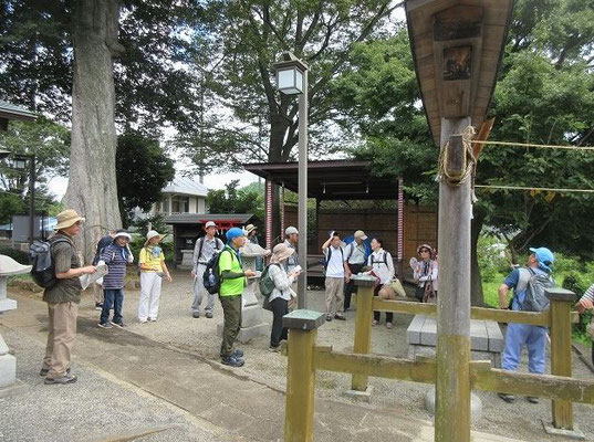 白山神社  寛永3年（1626）に創建、御神体は延宝8年（1680）に奉遷したものだといいます。