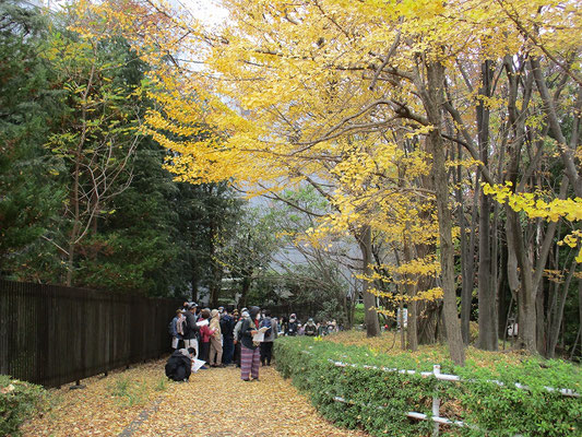 諏訪北公園　 　 紅葉がきれいでした。 この地域に諏訪神社にあり、「すわの下」「すわのまえ」の小字あった。 町名は、連光寺の小字「諏訪越」「諏訪坂」に由来して命名された。(現地看板)