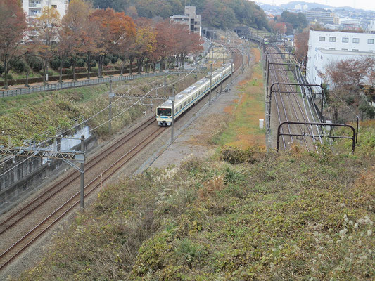 電車見橋  橋の下には、小田急多摩線と京王相模原線が通っており、電車がよく見えます。